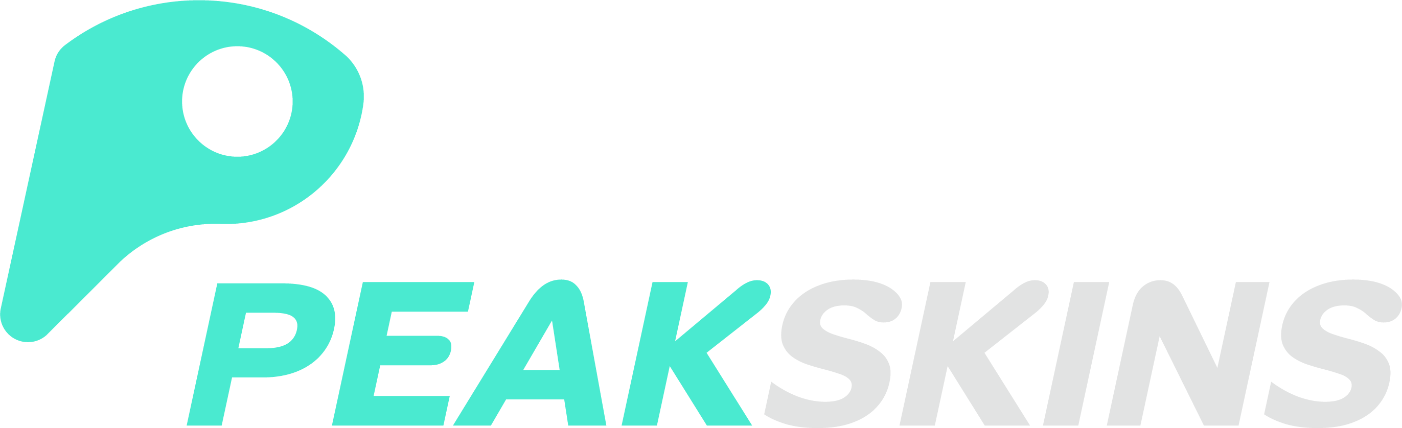 Peakskins Logo